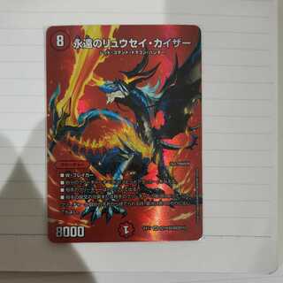 Eternal Ryusei Kaiser