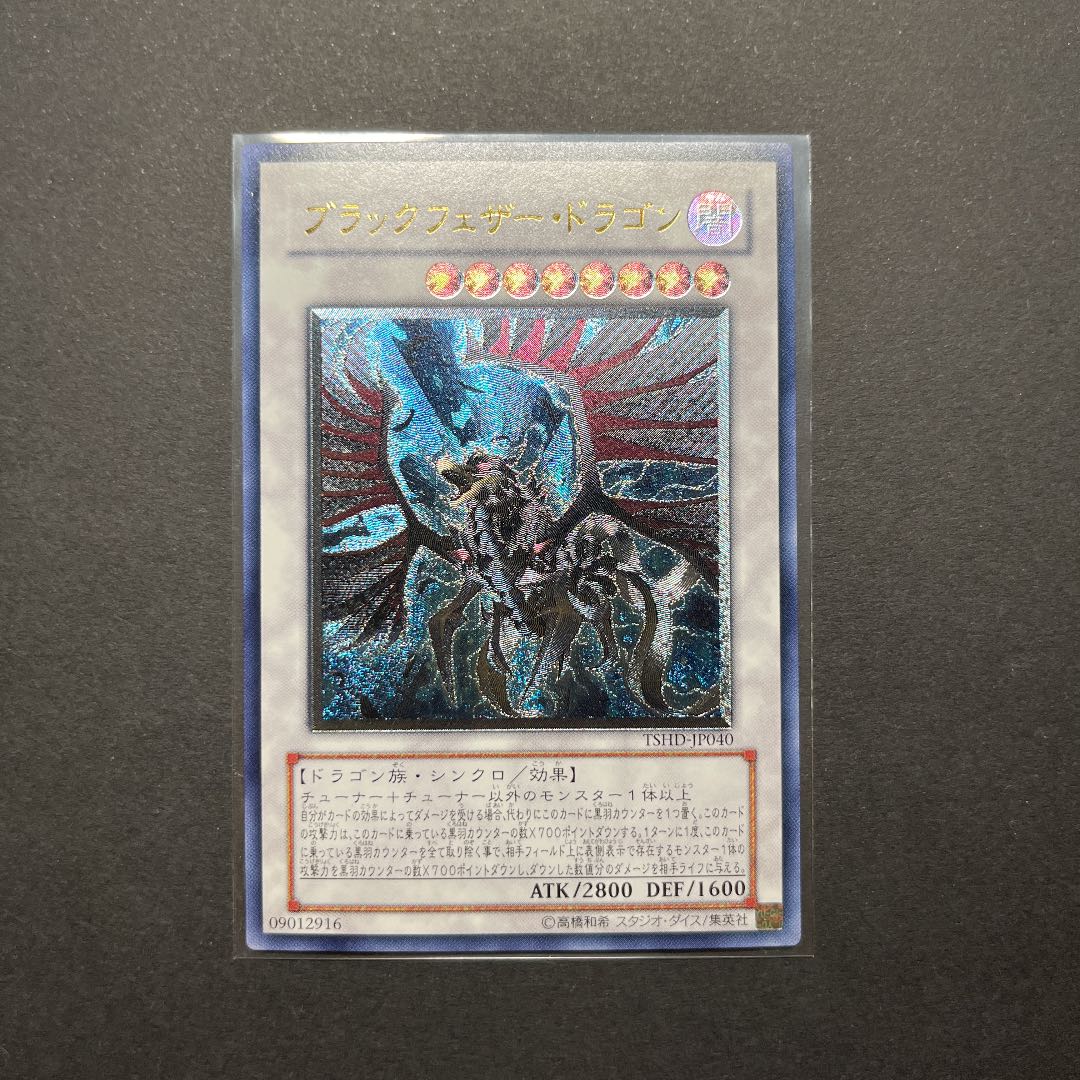 【美品】遊戯王　ブラック・フェザー・ドラゴン　レリーフ