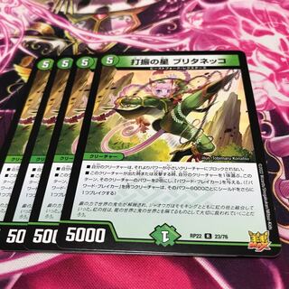 Star of strikeout Brittaneko R