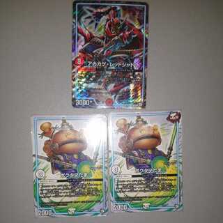 One Red Lizard Red Shadow Two Pochtamatama