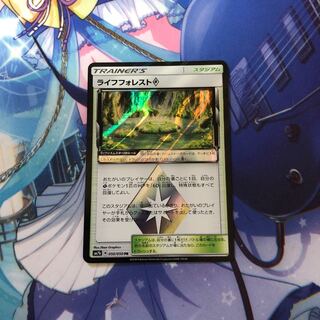 グラシアル様専用