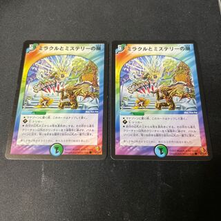 Miracle and Mystery Doors