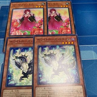 White Rose Dragon Normal, etc.