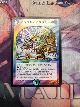 Miracle and Mystery Doors