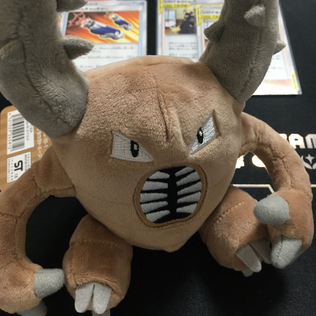 【のまねこ様専用】シロナ&カスタムセット