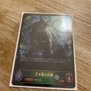 The White Wolf of the Old Forest 1枚