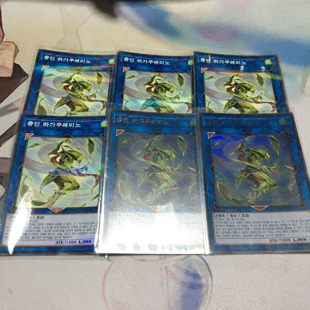 【韓国】　虫忍 ハガクレミノ パラレル ノーマル