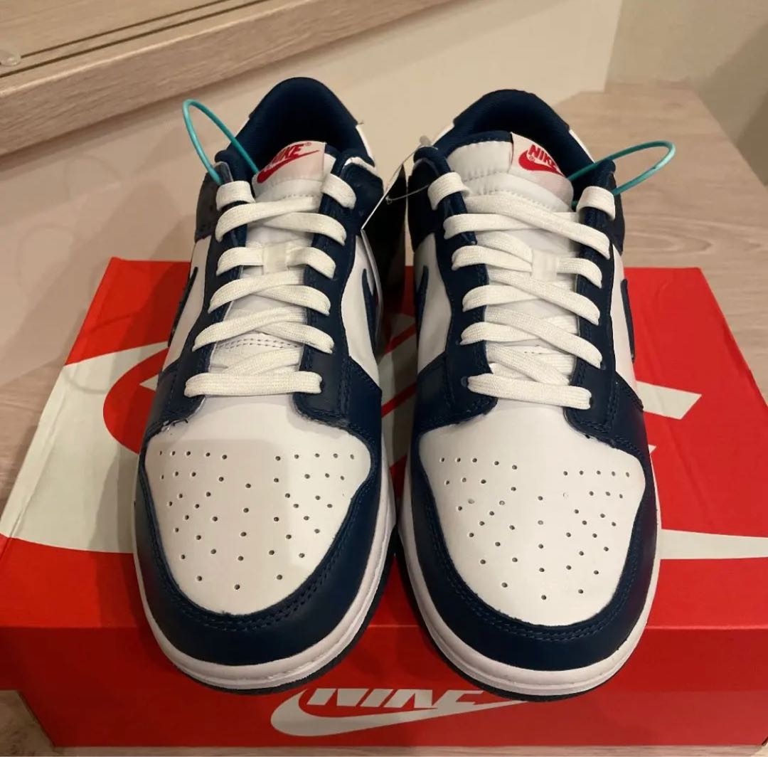 Nike Dunk Low Valerian Blue 28cm