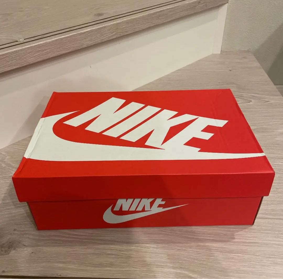 Nike Dunk Low Valerian Blue 28cm