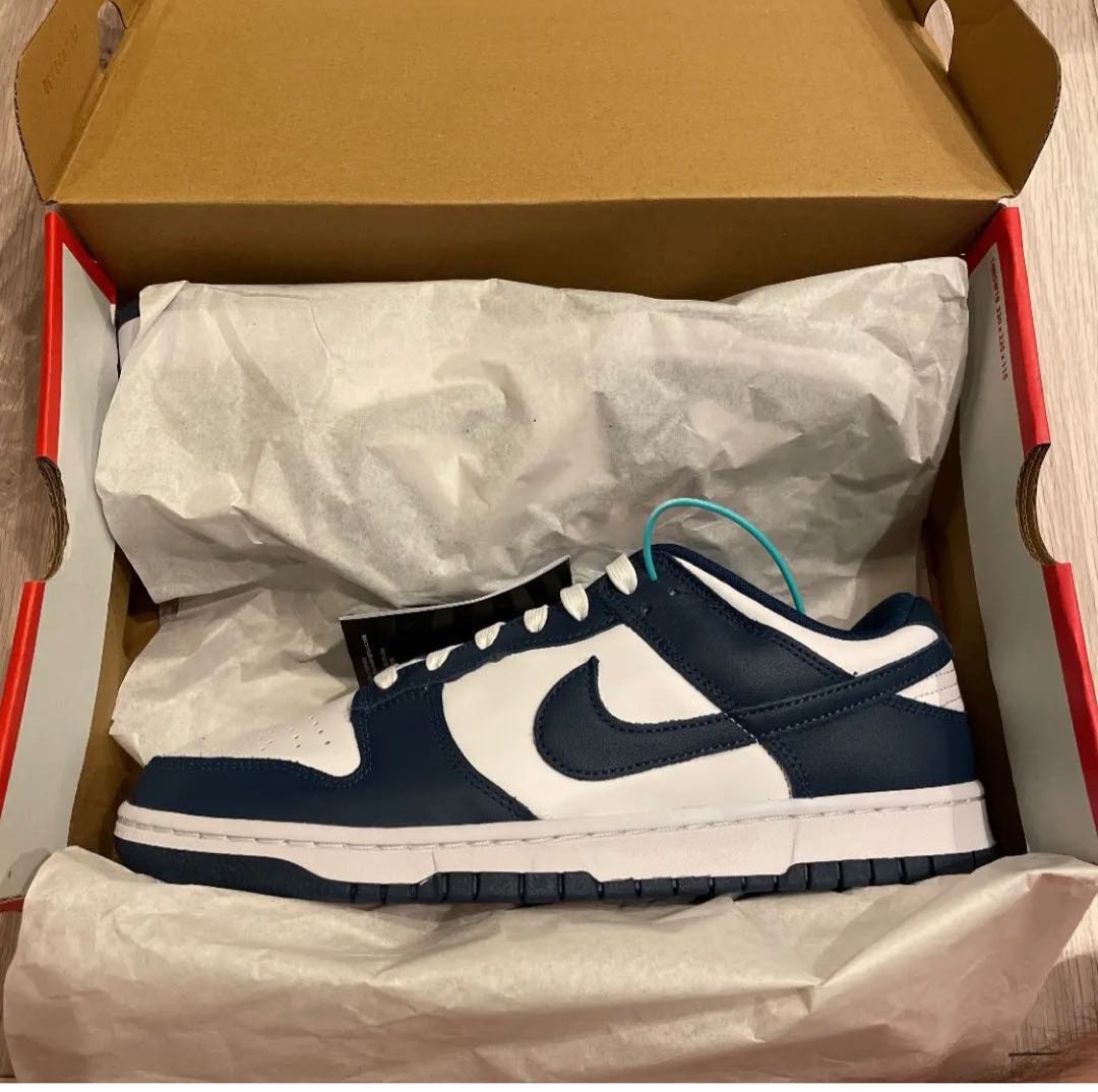 Nike Dunk Low Valerian Blue 28cm