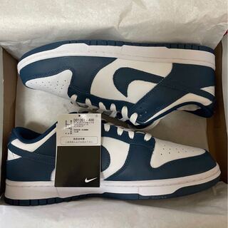 NIKE DUNK LOW Valerian Blue 27cm Valerian Chicago Panda SB OG AJ1 AF1 27cm