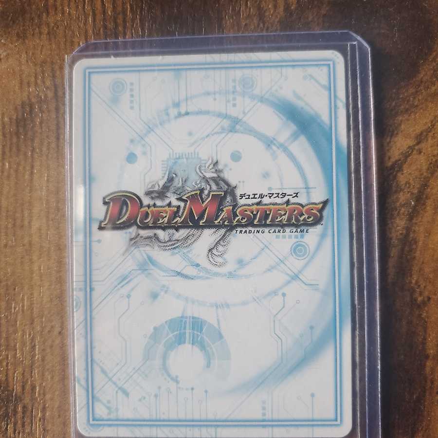 ゴッドガヨンダム1枚