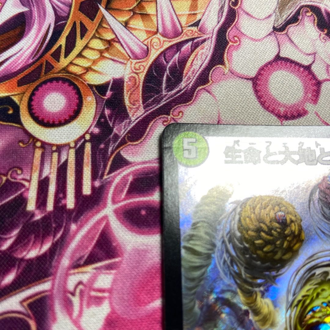 Life Life, Earth and Roaring Decision SR S12/S12