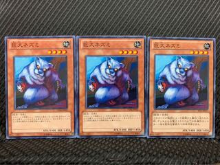 Popotan] Yu-Gi-Oh! 8781 Giant Rat 3 Normal