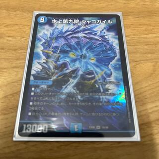 Waterjo Ninth Institute Shakogile