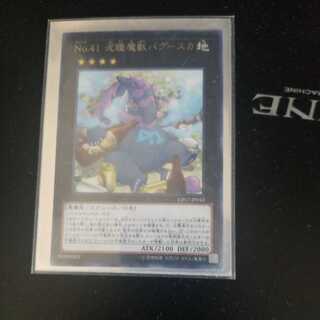 Number 41: Bagooska the Terribly Tired Tapir