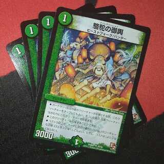 Camel's palanquin U 34/55