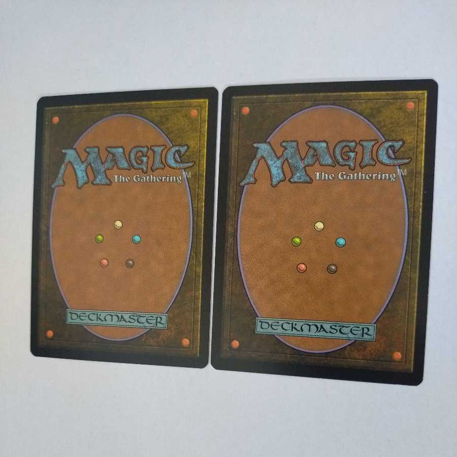 MTG Skylasher/Skylasher Japanese 2 copies in stock