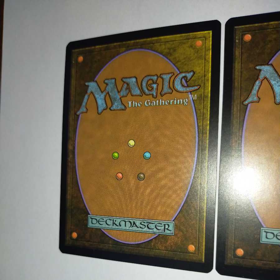 MTG Skylasher/Skylasher Japanese 2 copies in stock