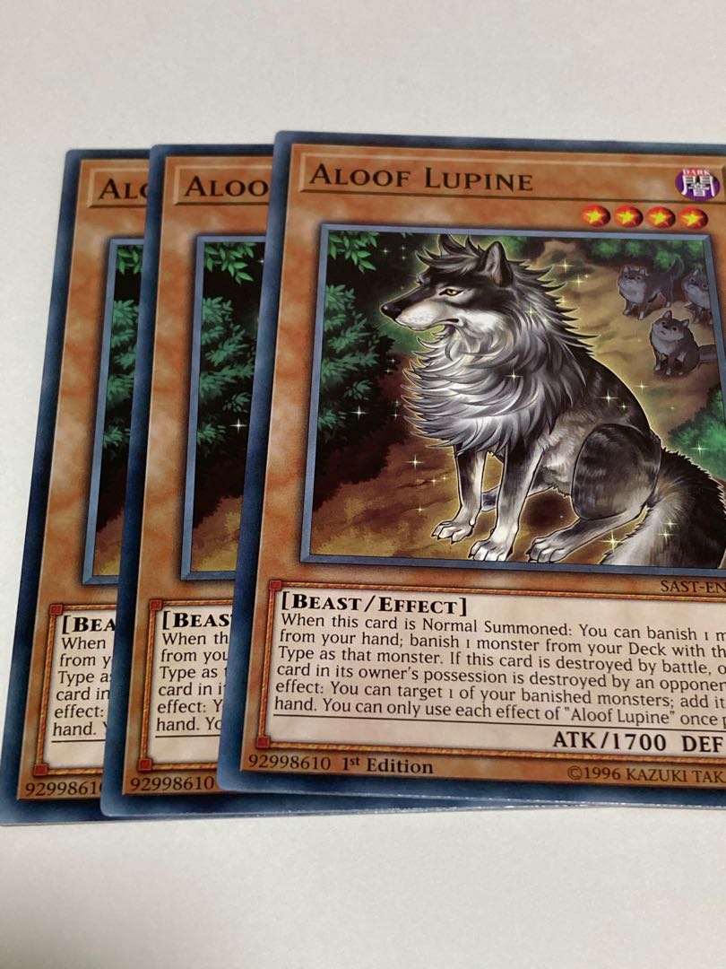 孤高除獣　英語版　EU版　3枚