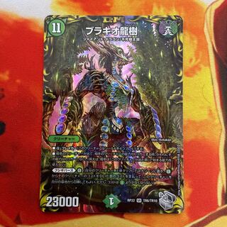 Ryuki Brachio SR S5/S11