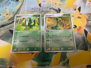 McDonald's Promo Treecko Sceptile