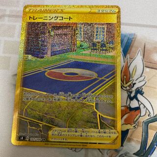 Training Court UR 127/100