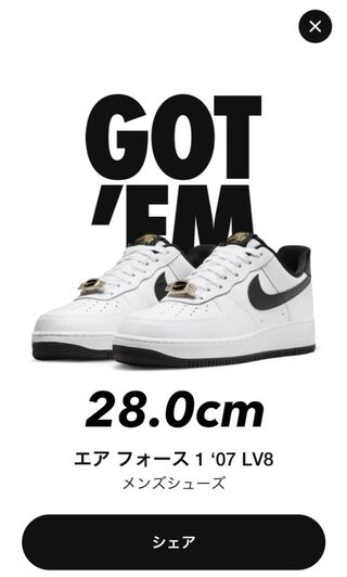 28.0cm★nike air force 1 ワールドチャンプ 28cm