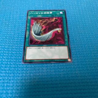 ハーピィの羽根帚 1枚　ノーマル