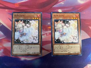 Ash Blossom & Joyous Spring Normal 2 pieces