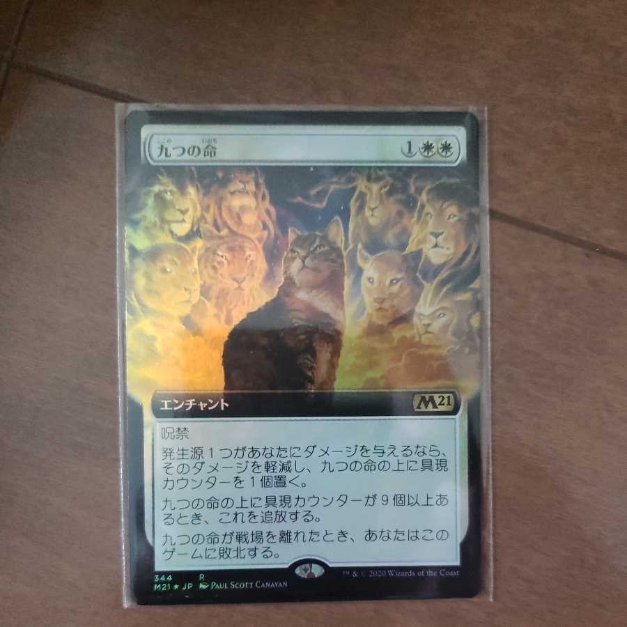 Nine Lives Foil