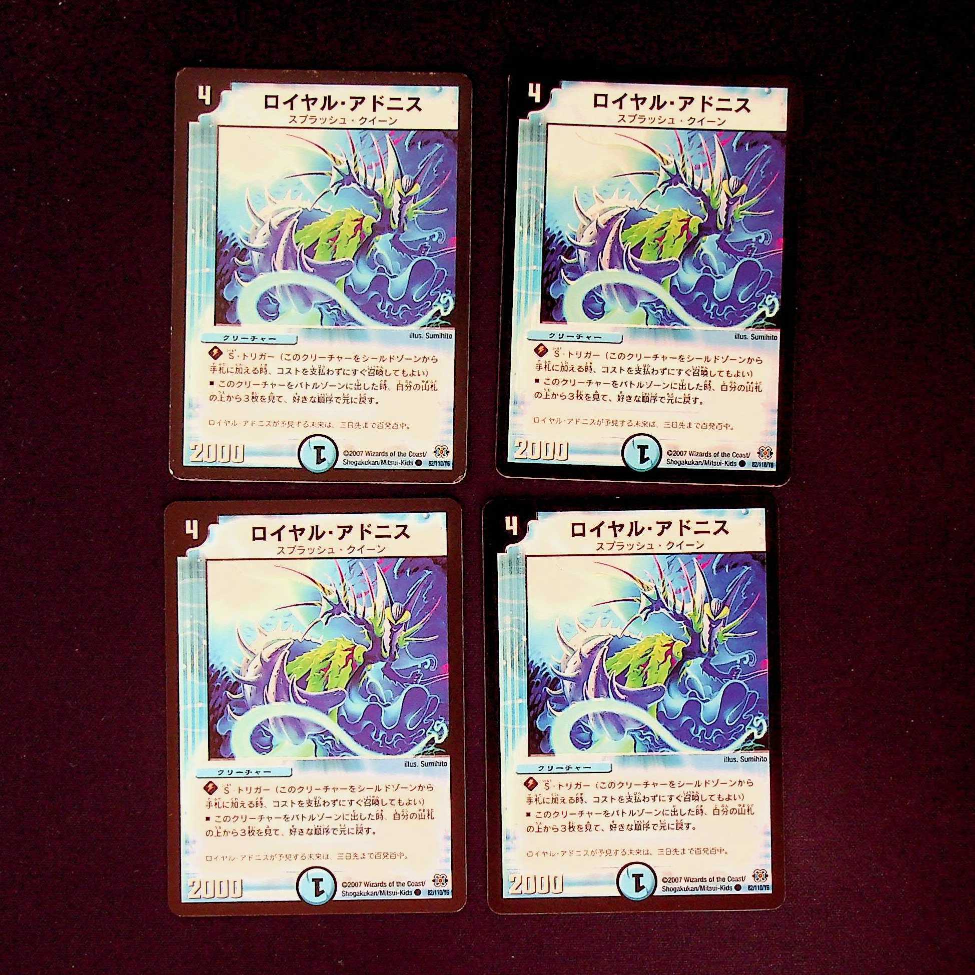 DM Royal Adonis Common, set of 4 (2)