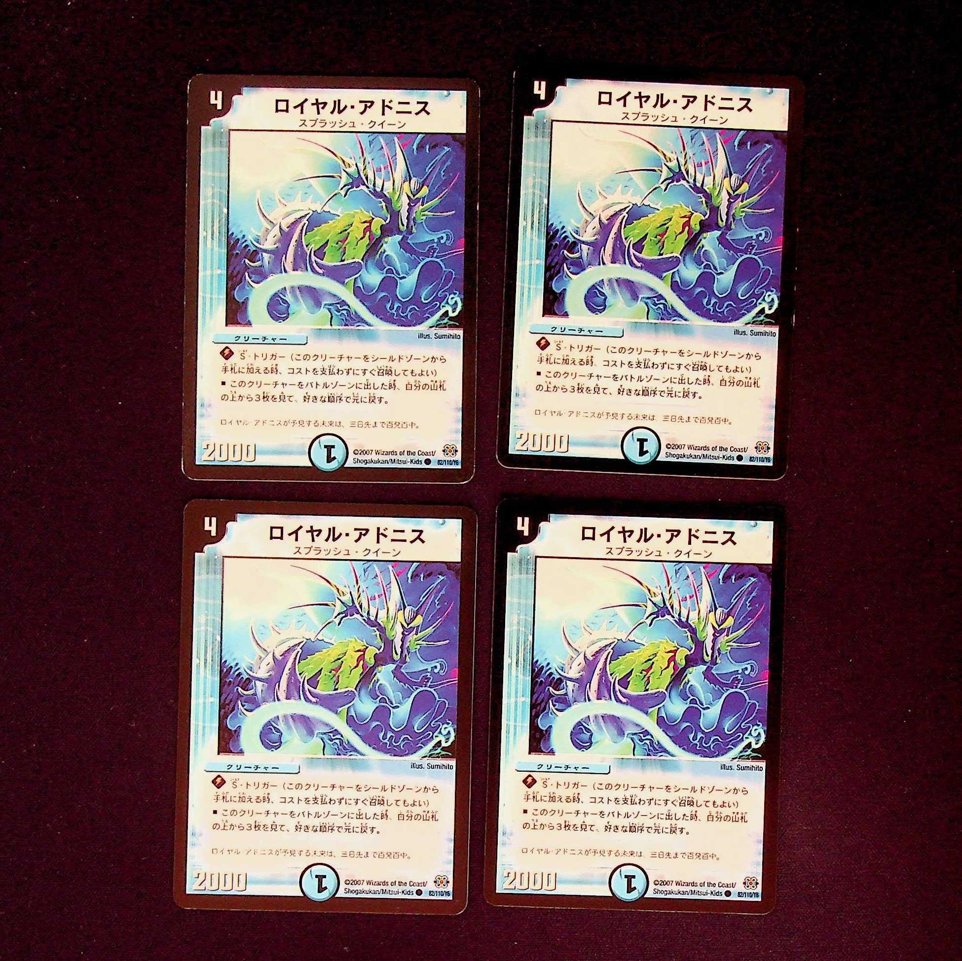 DM Royal Adonis Common, set of 4 (iii)