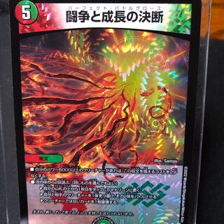 Fighting Conflict and Growth Decision VR 8/76