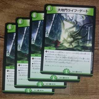 Large Gate Life Gate