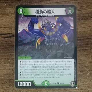 Psychic person of tree food