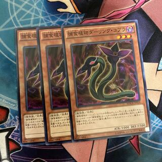 捕食植物ダーリング・コブラ ノーマル JP010 3枚特価品