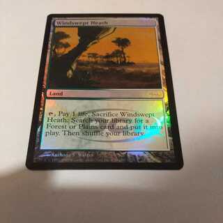 Windswept Heath [Judge's Reward Foil].