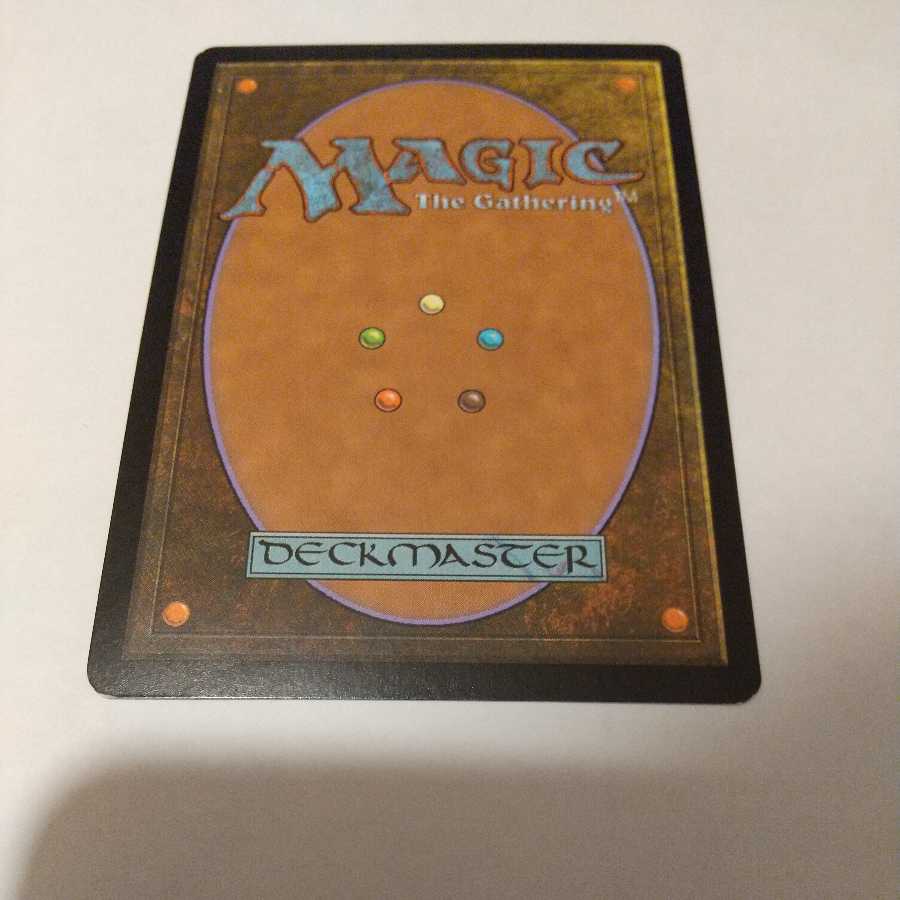 Windswept Heath [Judge's Reward Foil].