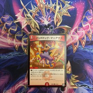 Same day shipping! Dangerous Dog Maniacs