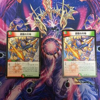 即日発送！蒼龍の大地 2枚セット