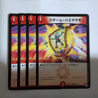 steam flycatcher (any fly of family Steamtrapidae)