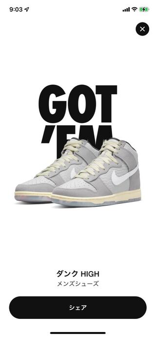 ナイキ　ダンクハイ　PRM カルチャーデイ 27cm