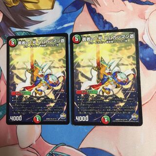 勇者の1号ハムカツマン蒼