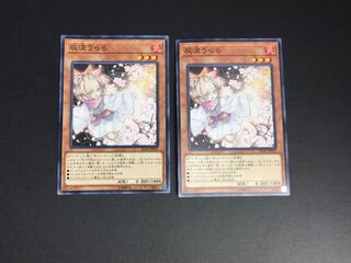 遊戯王 灰流うらら ノーマル2枚セット ゆ8-02/01