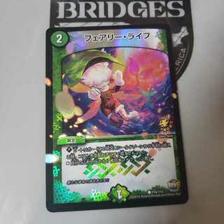 フェアリーライフ