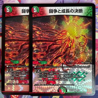 Fighting Conflict and Growth Decision VR 8/76