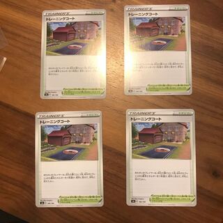 Training Court 180/190 4 sheets