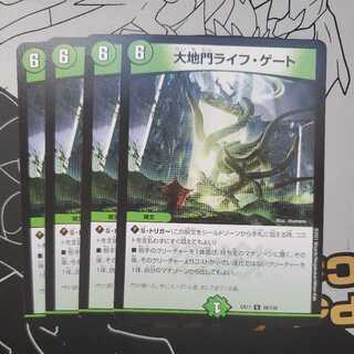 Large Gate Life Gate