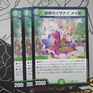 Izanai of Forest Dreams Dear Rosa